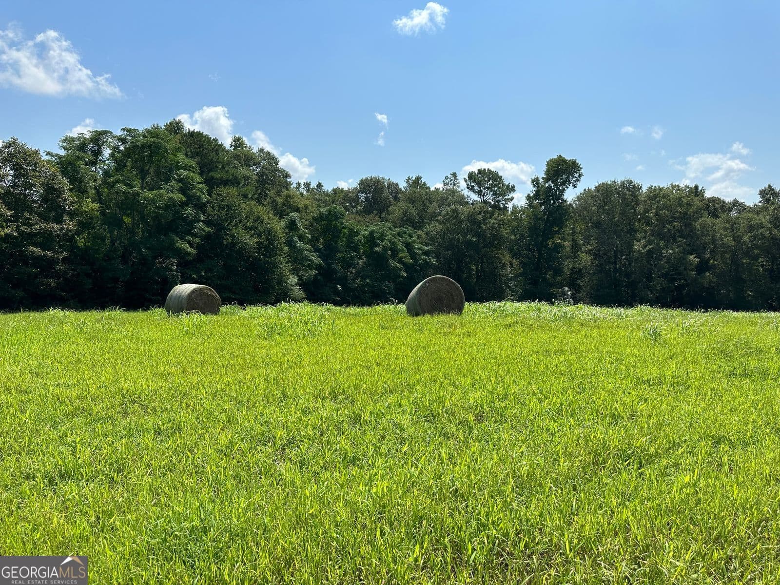 agriculture for sale at 100AC Twin Bridges Road, Eatonton, GA 31024 — photo 3