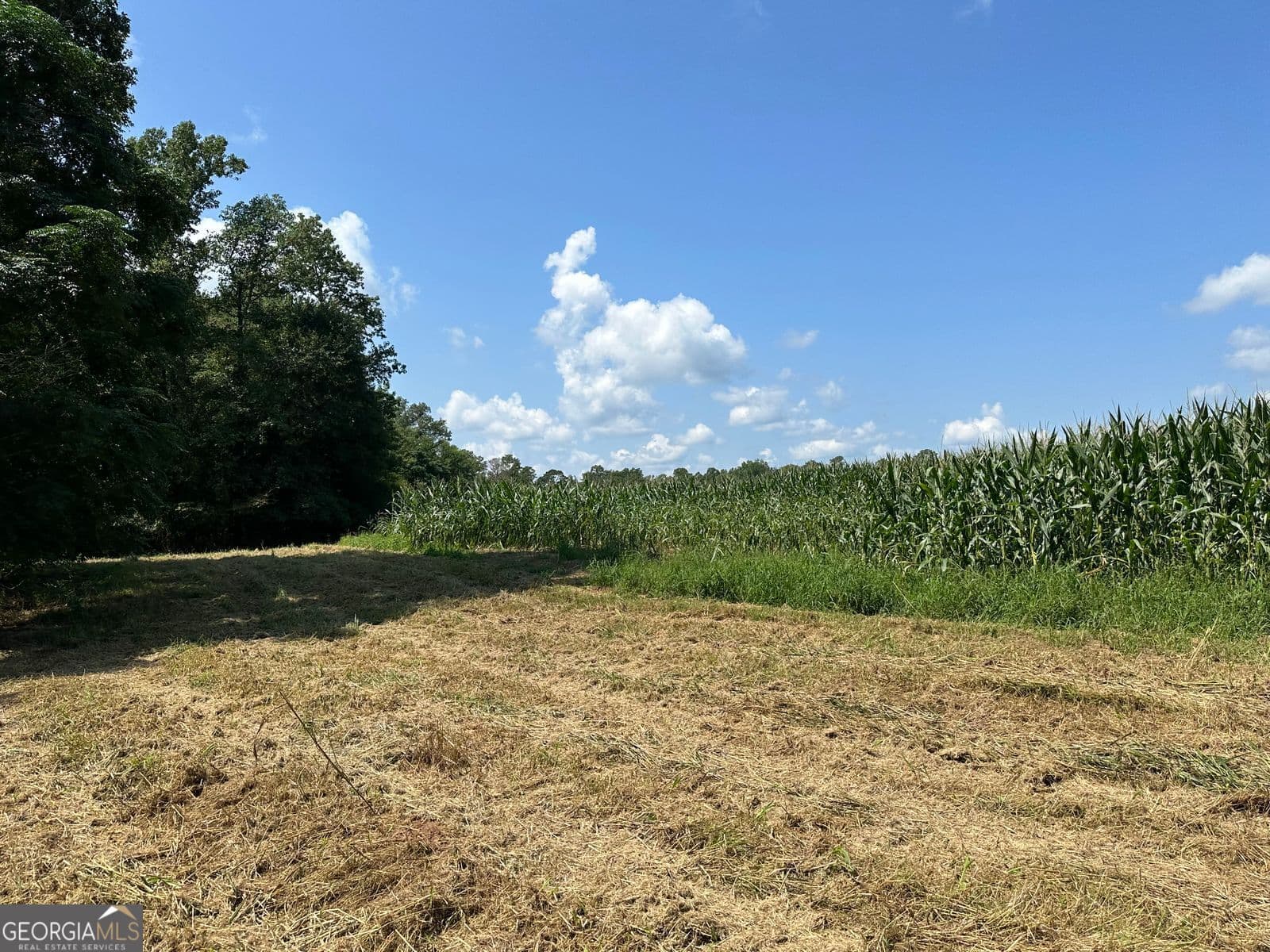 agriculture for sale at 100AC Twin Bridges Road, Eatonton, GA 31024 — photo 5
