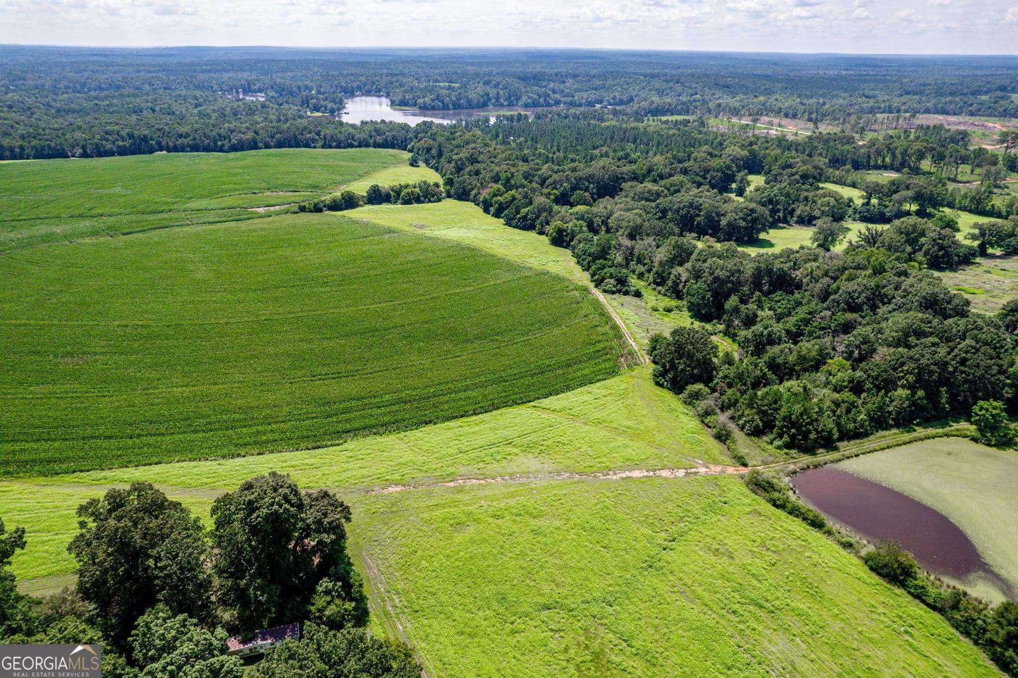 agriculture for sale at 100AC Twin Bridges Road, Eatonton, GA 31024 — photo 9