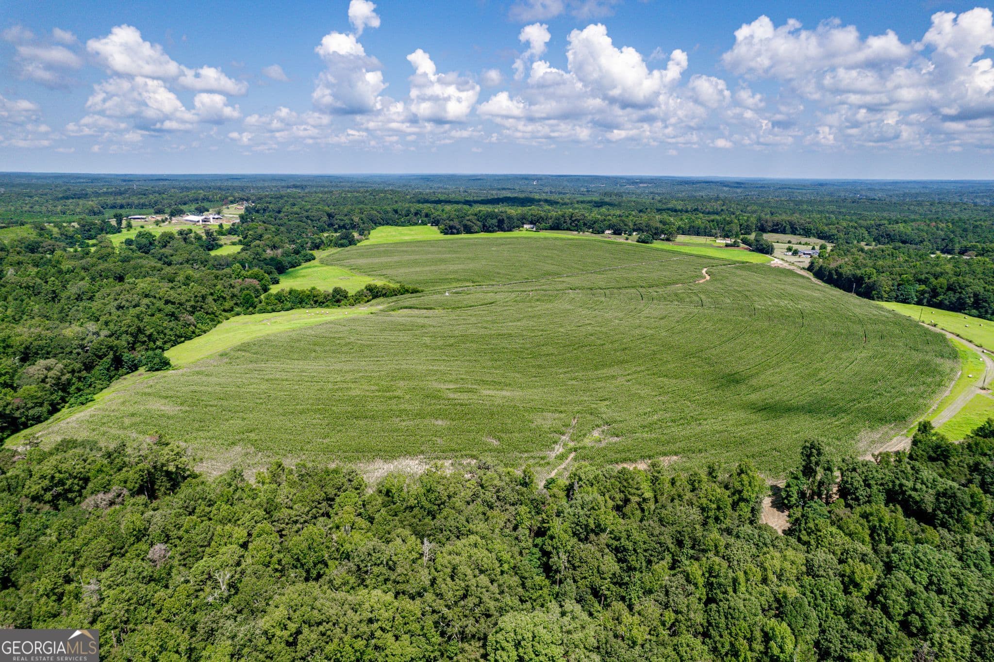 agriculture for sale at 100AC Twin Bridges Road, Eatonton, GA 31024 — photo 10
