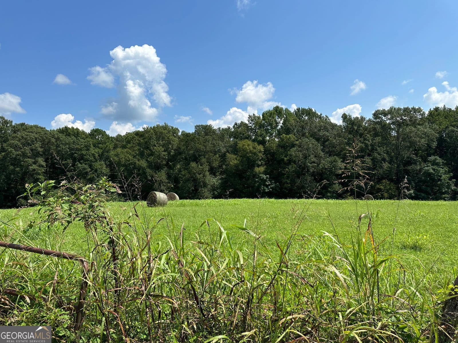 agriculture for sale at 100AC Twin Bridges Road, Eatonton, GA 31024 — photo 4