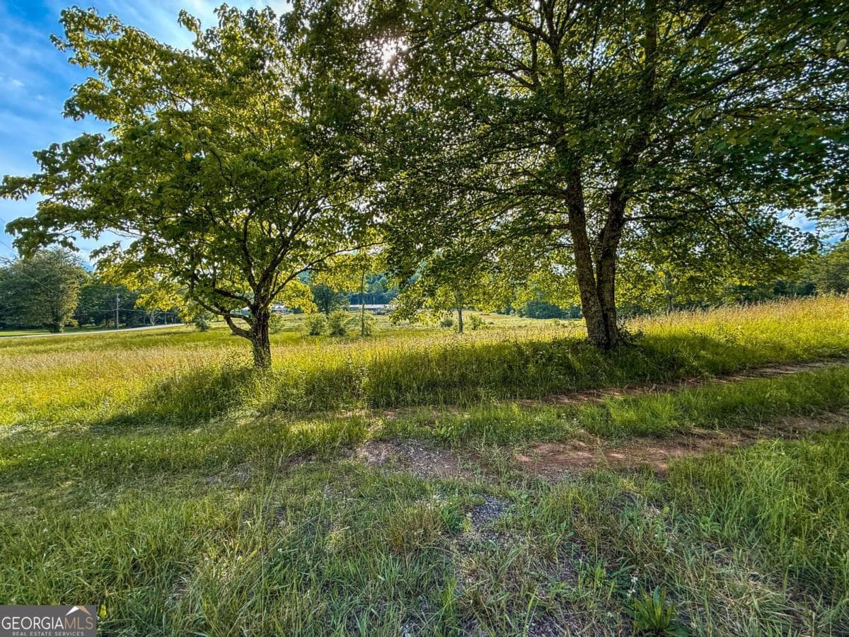 agriculture for sale at 239 Glen Elliott Road, Suches, GA 30572 — photo 6