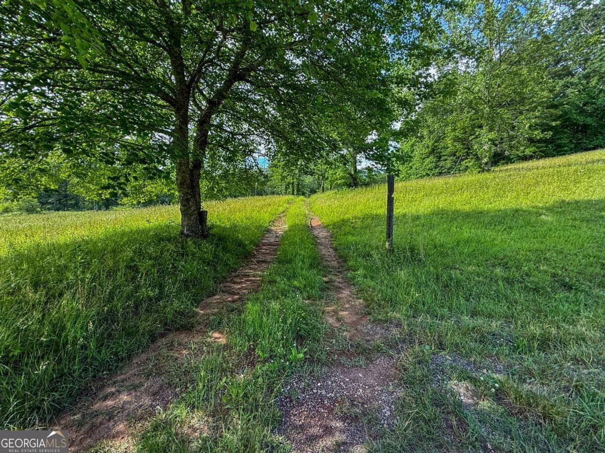 agriculture for sale at 239 Glen Elliott Road, Suches, GA 30572 — photo 5