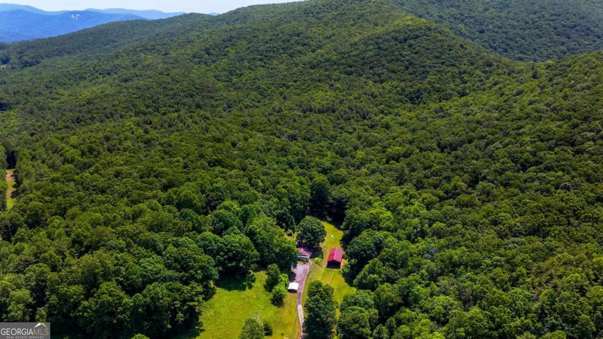 agriculture for sale at 239 Glen Elliott Road, Suches, GA 30572 — photo 9