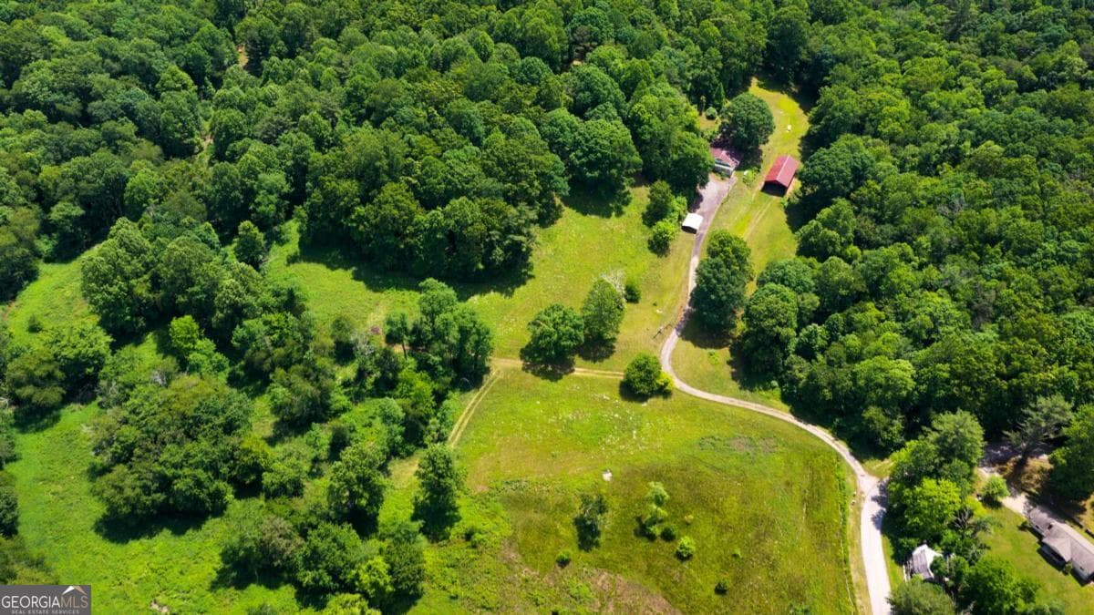 agriculture for sale at 239 Glen Elliott Road, Suches, GA 30572 — photo 10