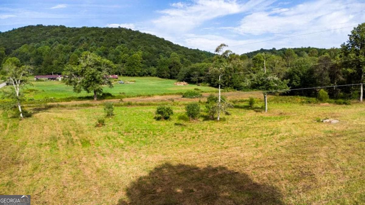 agriculture for sale at 239 Glen Elliott Road, Suches, GA 30572 — photo 4