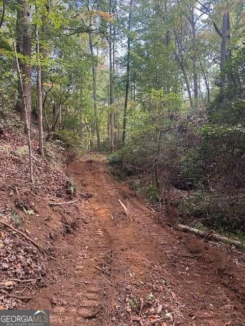 residential lot for sale at 5 Yancy Drive, Dawsonville, GA 30534 — photo 6
