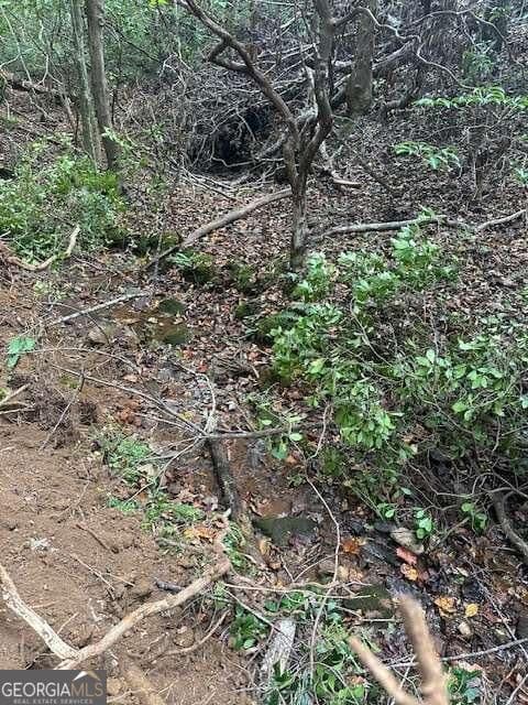 residential lot for sale at 5 Yancy Drive, Dawsonville, GA 30534 — photo 7