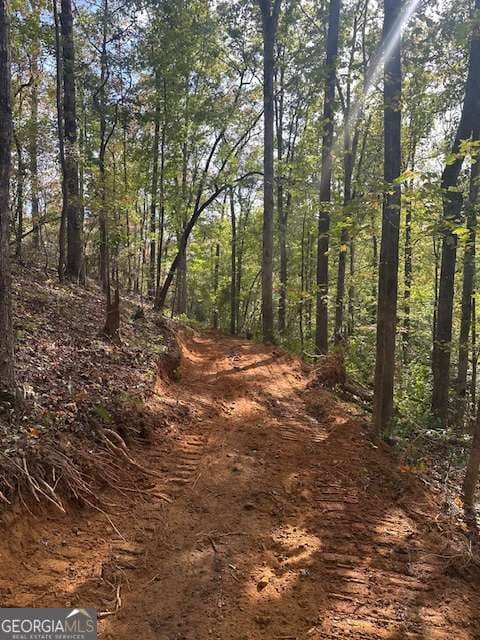 residential lot for sale at 5 Yancy Drive, Dawsonville, GA 30534 — photo 3