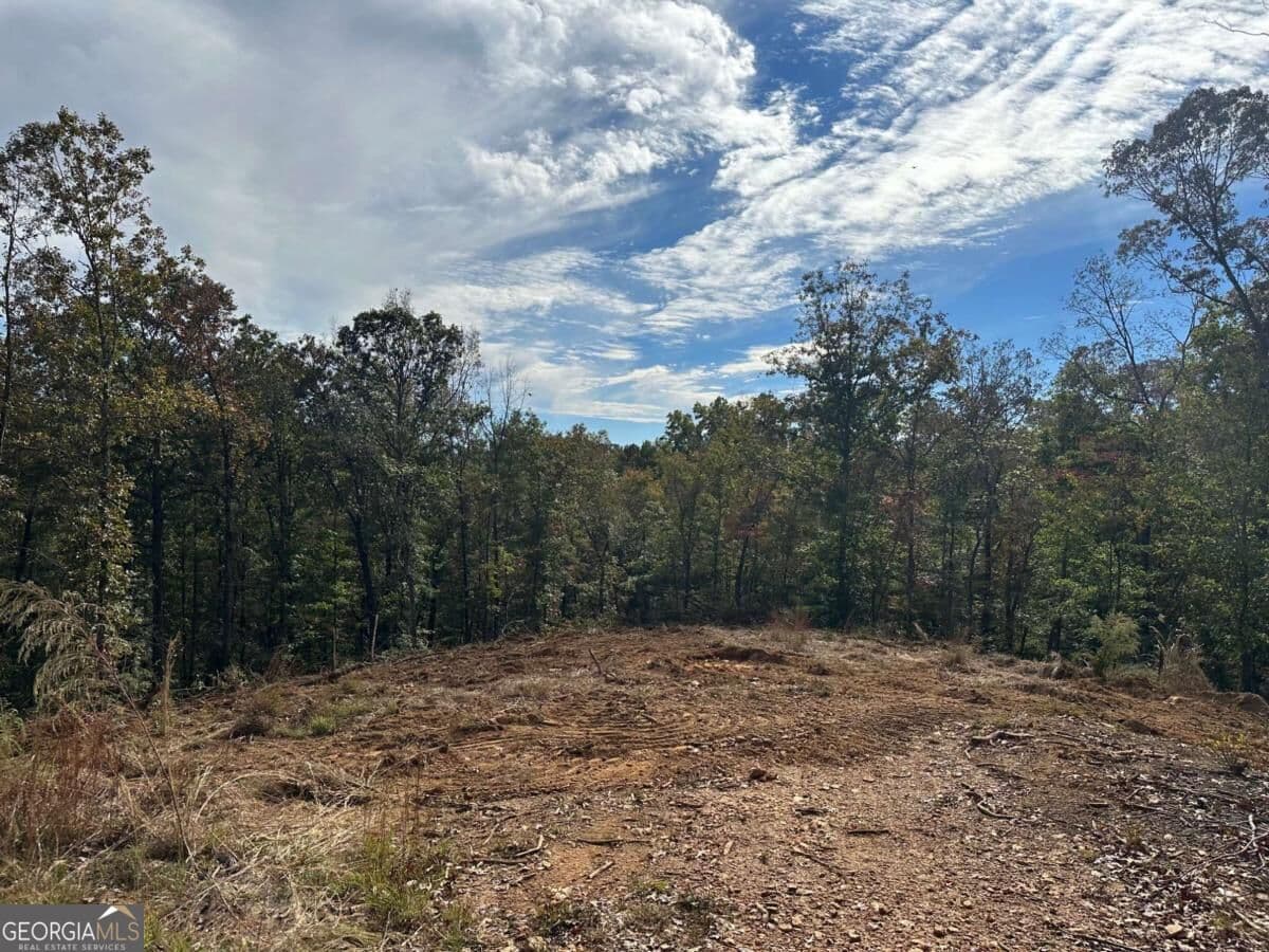 residential lot for sale at 5 Yancy Drive, Dawsonville, GA 30534 — photo 1 of 17
