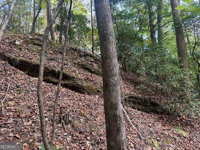residential lot for sale at 5 Yancy Drive, Dawsonville, GA 30534 — photo 5