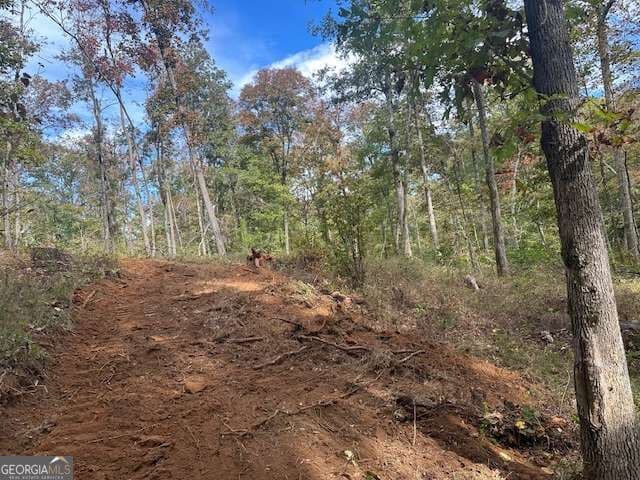 residential lot for sale at 5 Yancy Drive, Dawsonville, GA 30534 — photo 9