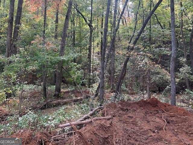 residential lot for sale at 5 Yancy Drive, Dawsonville, GA 30534 — photo 10
