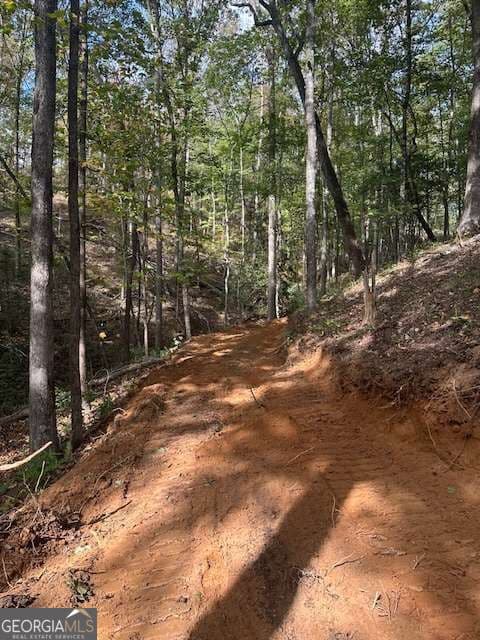 residential lot for sale at 5 Yancy Drive, Dawsonville, GA 30534 — photo 4