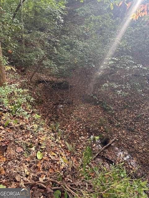 residential lot for sale at 5 Yancy Drive, Dawsonville, GA 30534 — photo 8