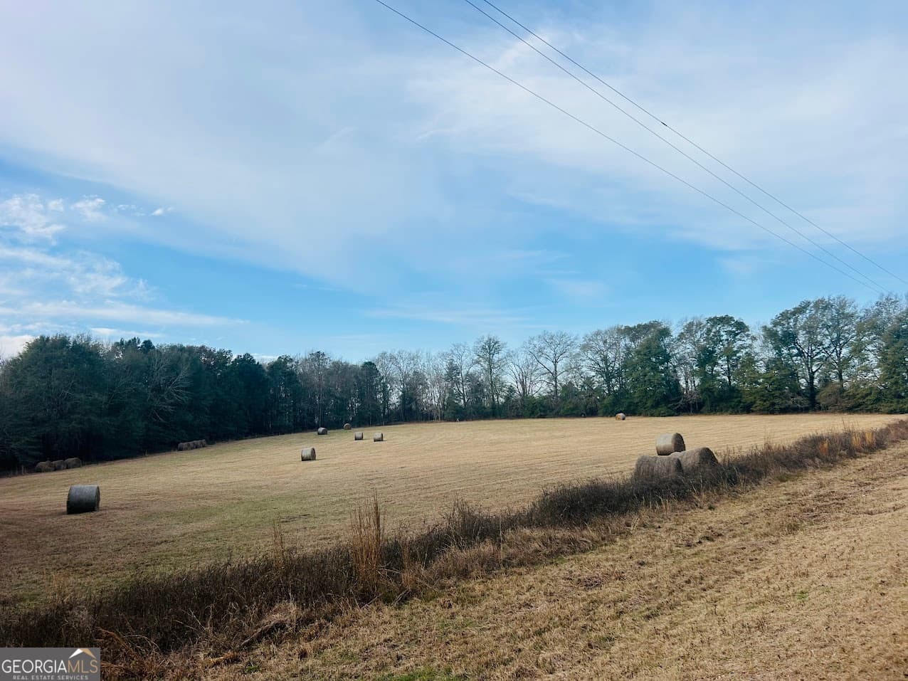 agriculture sold at 0 Fouche Road LOT 2B & 2C, Buena Vista, GA 31803