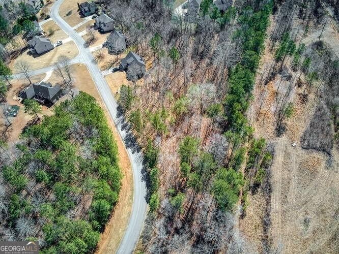 residential lot for sale at 263 Principal Meridian Drive, Dallas, GA 30132 — photo 2