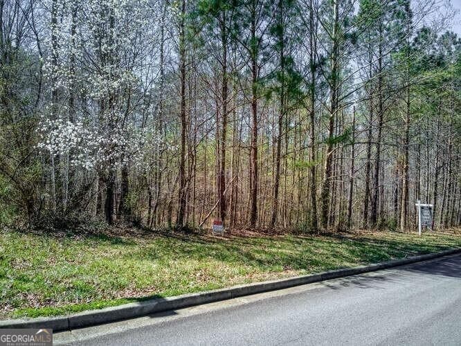 residential lot for sale at 263 Principal Meridian Drive, Dallas, GA 30132 — photo 6