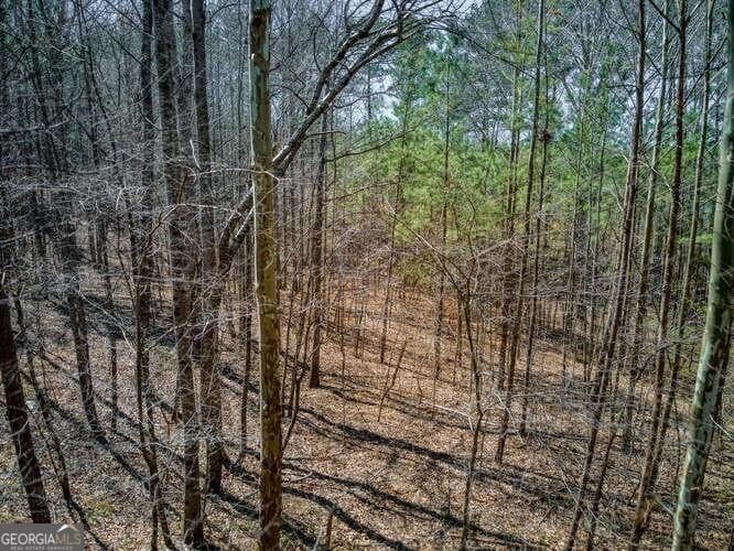 residential lot for sale at 263 Principal Meridian Drive, Dallas, GA 30132 — photo 7