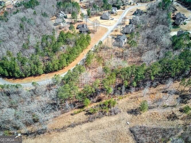 residential lot for sale at 263 Principal Meridian Drive, Dallas, GA 30132 — photo 3