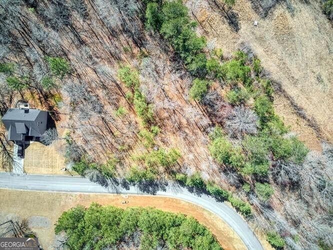 residential lot for sale at 263 Principal Meridian Drive, Dallas, GA 30132 — photo 5