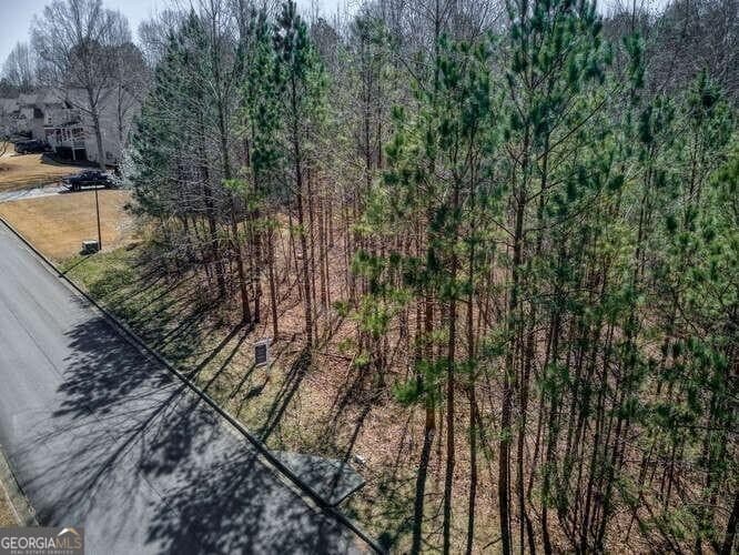 residential lot for sale at 263 Principal Meridian Drive, Dallas, GA 30132 — photo 9