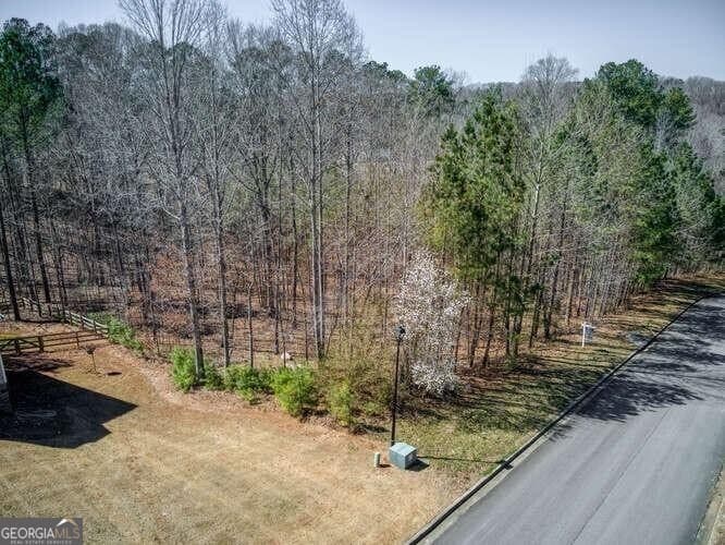 residential lot for sale at 263 Principal Meridian Drive, Dallas, GA 30132 — photo 10
