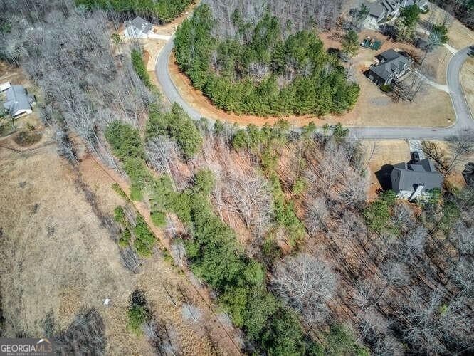 residential lot for sale at 263 Principal Meridian Drive, Dallas, GA 30132 — photo 4
