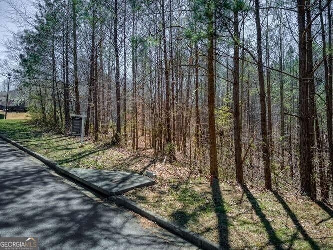 residential lot for sale at 263 Principal Meridian Drive, Dallas, GA 30132 — photo 8
