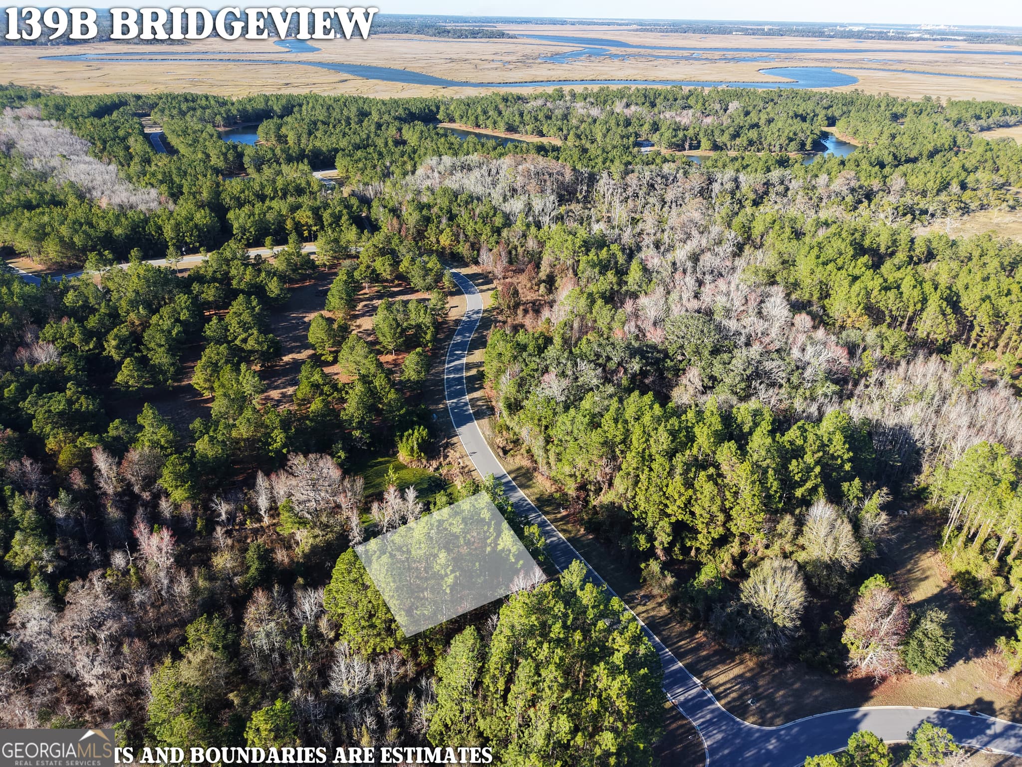 residential lot for sale at LOT 388 Bridge View Lane, Waverly, GA 31565 — photo 2