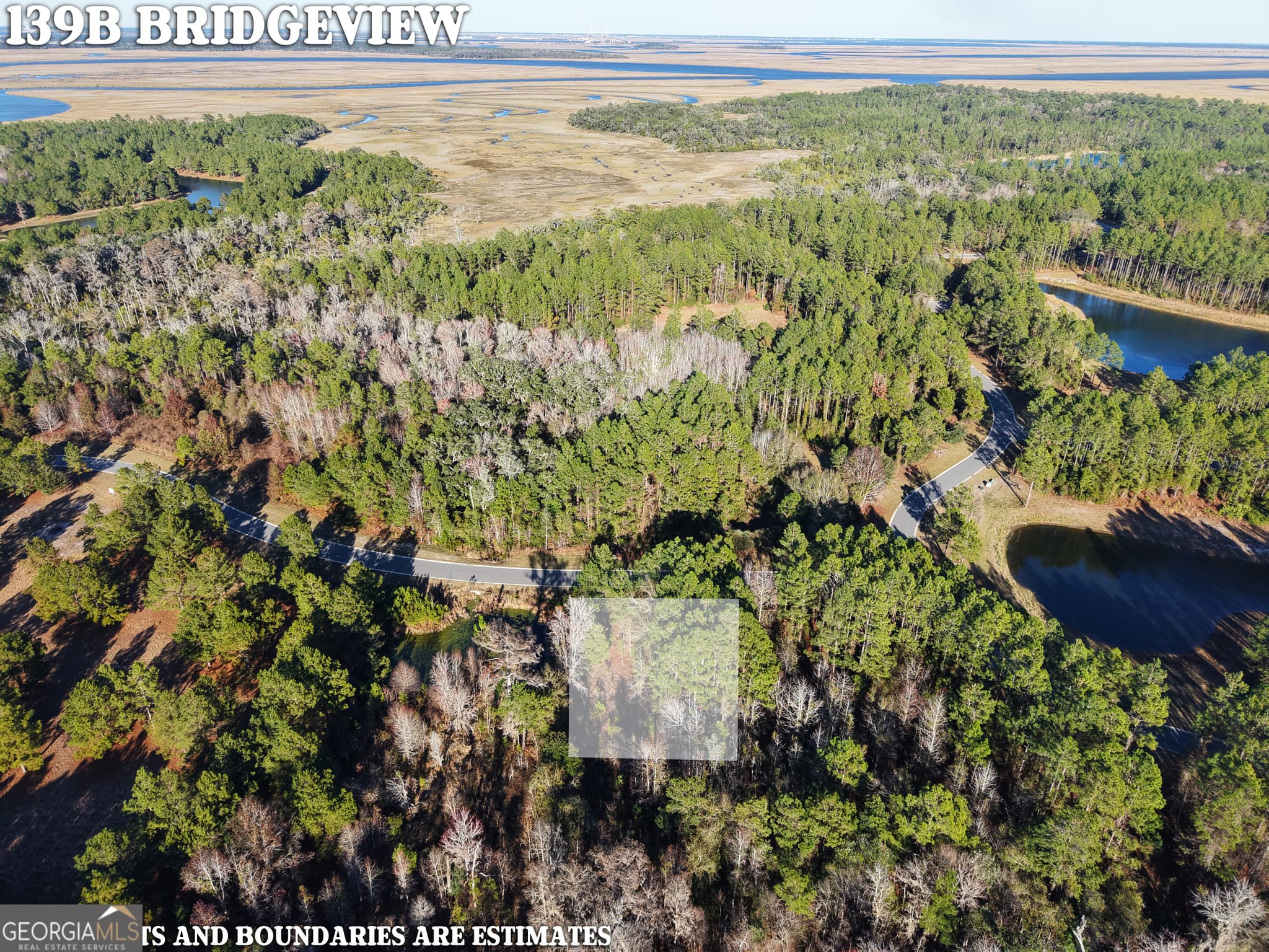 residential lot for sale at LOT 388 Bridge View Lane, Waverly, GA 31565 — photo 3