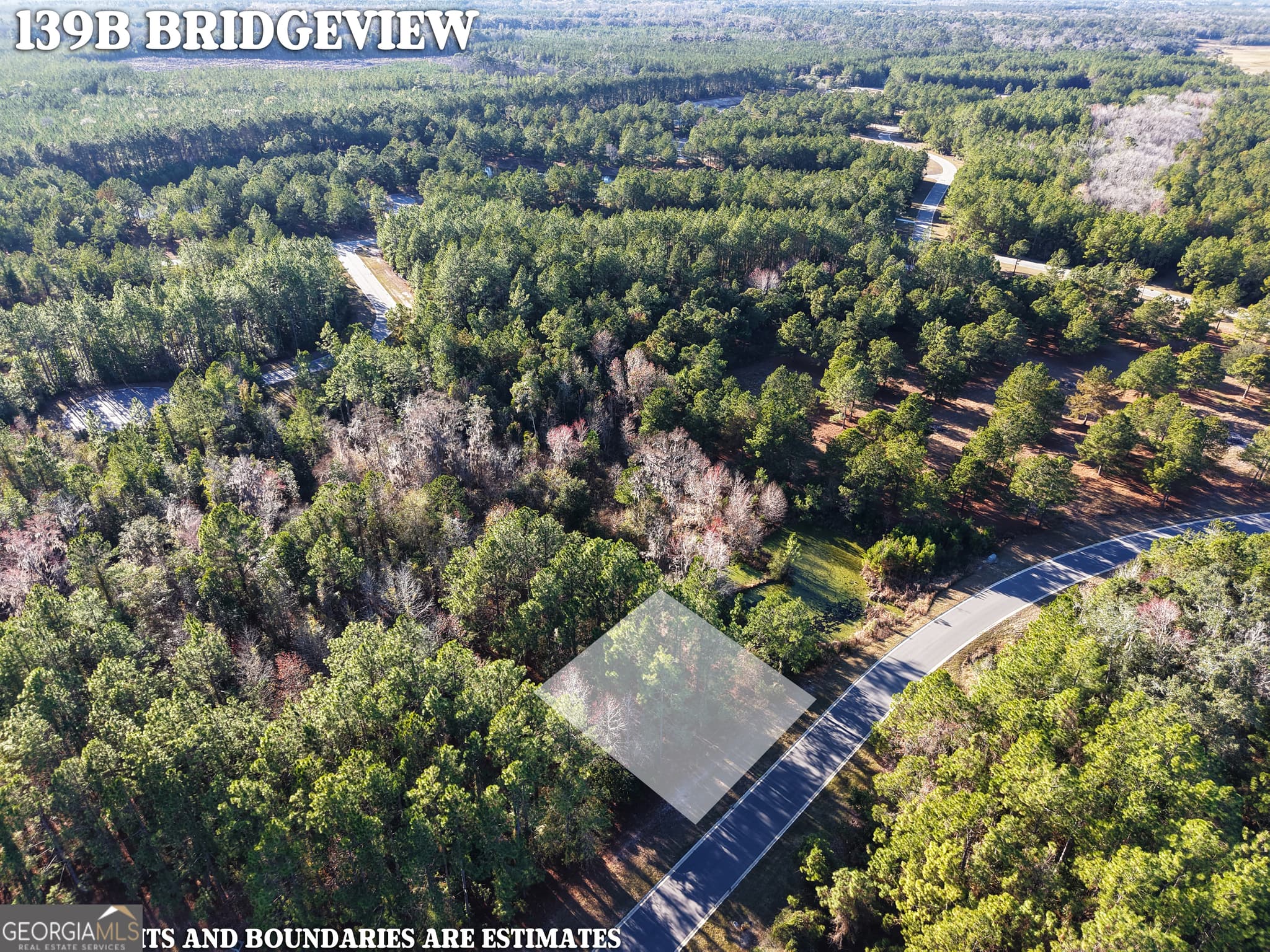 residential lot for sale at LOT 388 Bridge View Lane, Waverly, GA 31565