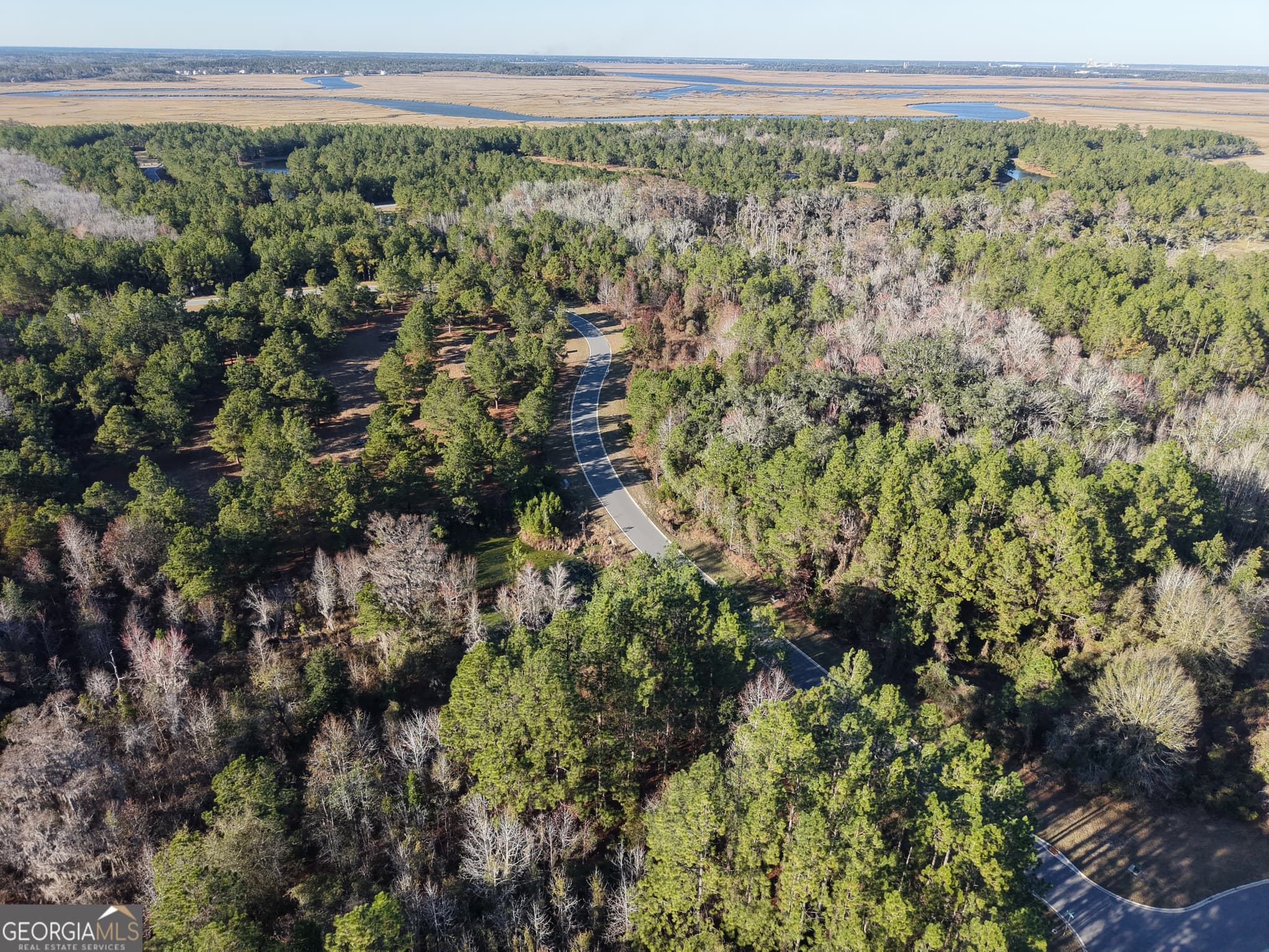 residential lot for sale at LOT 388 Bridge View Lane, Waverly, GA 31565 — photo 10