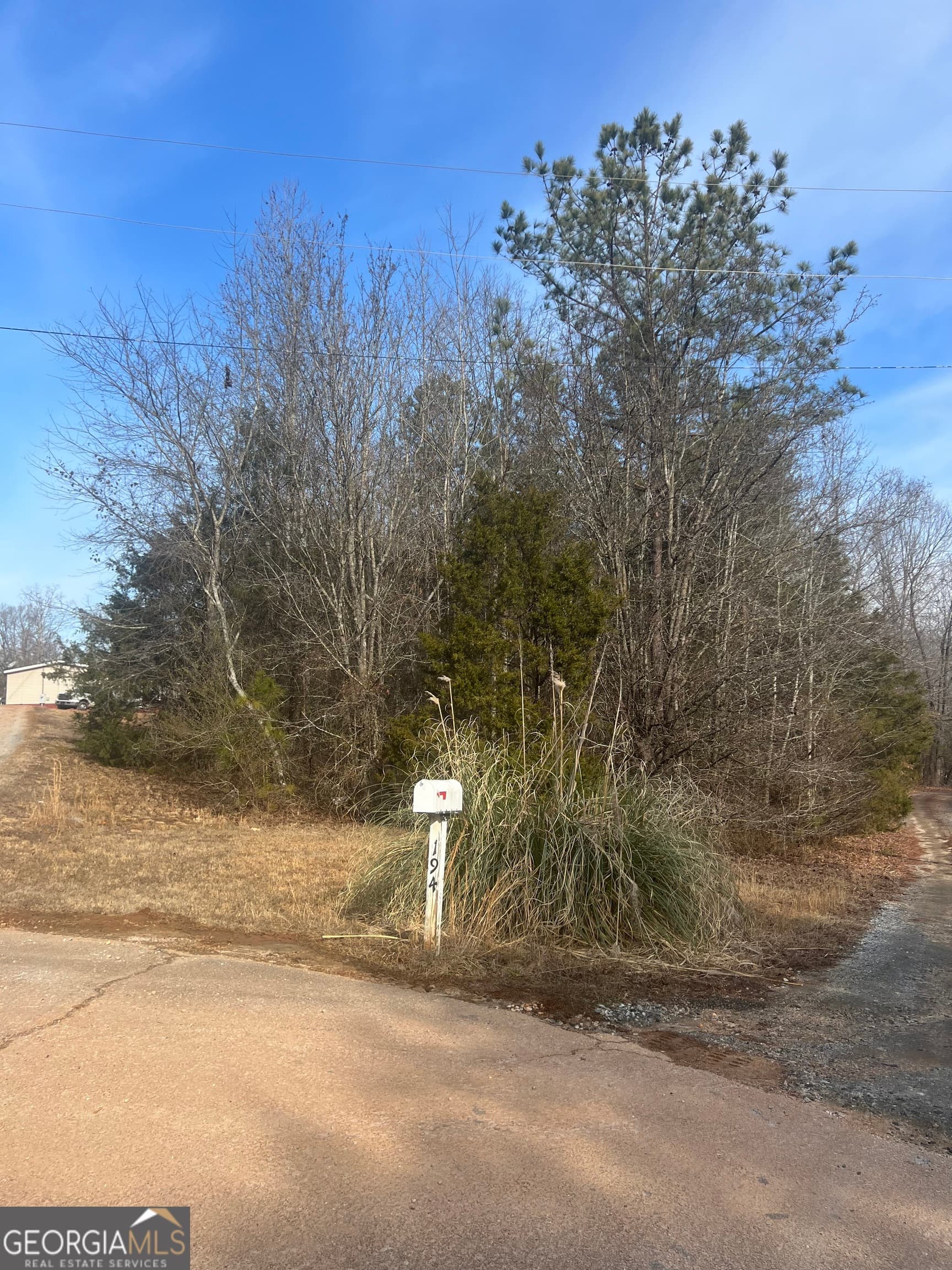 residential lot for sale at 198 Gregory Drive, Martin, GA 30557 — photo 2