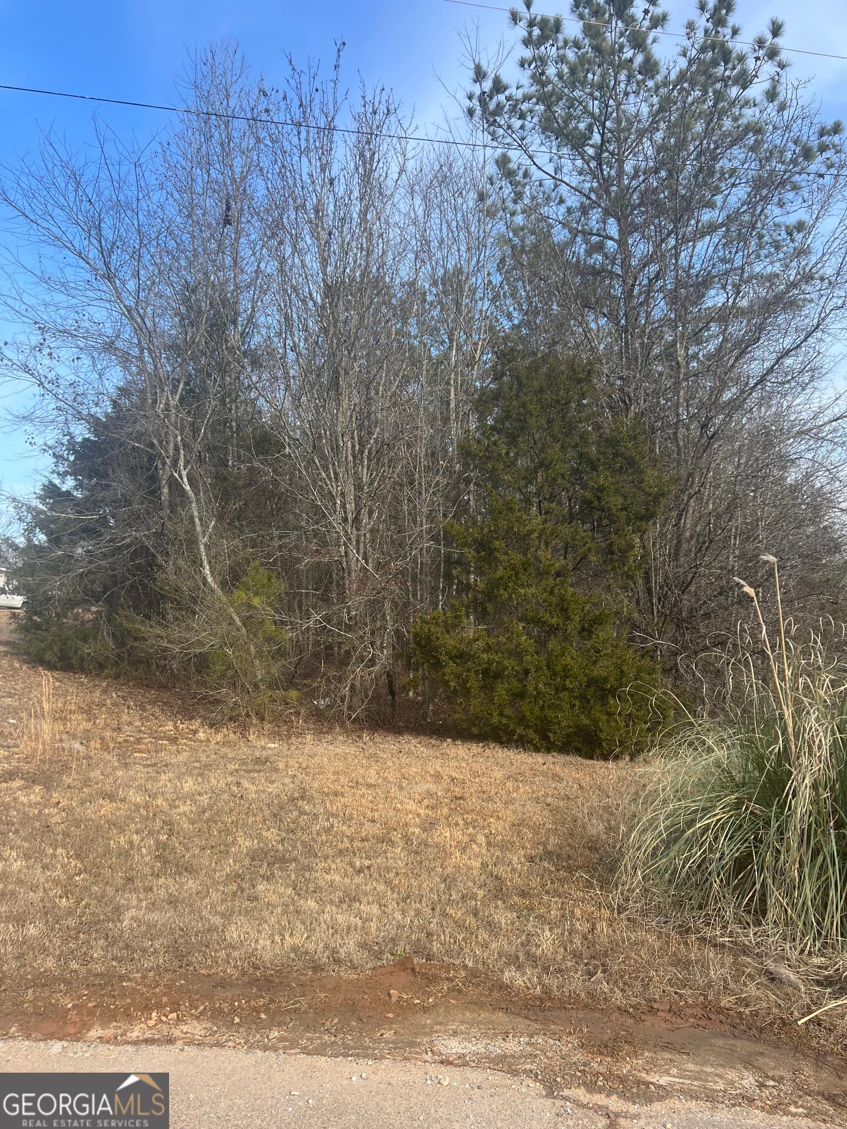 residential lot for sale at 198 Gregory Drive, Martin, GA 30557 — photo 1 of 3