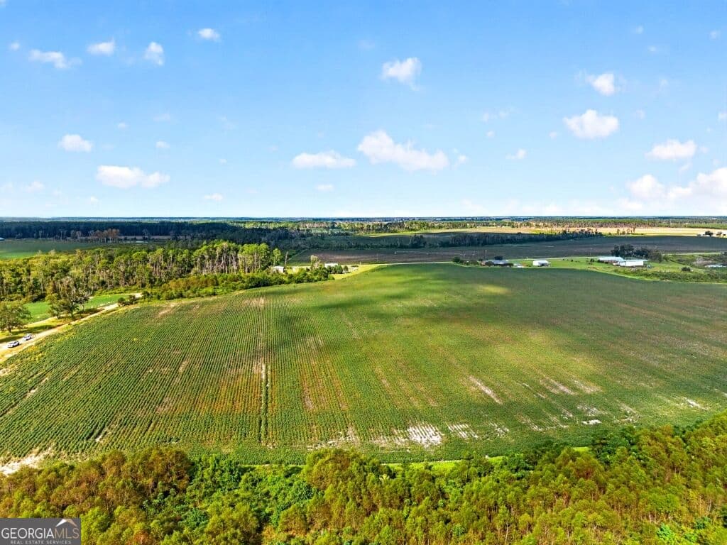 agriculture for sale at 0 Cedar Lane, Nicholls, GA 31554 — photo 2