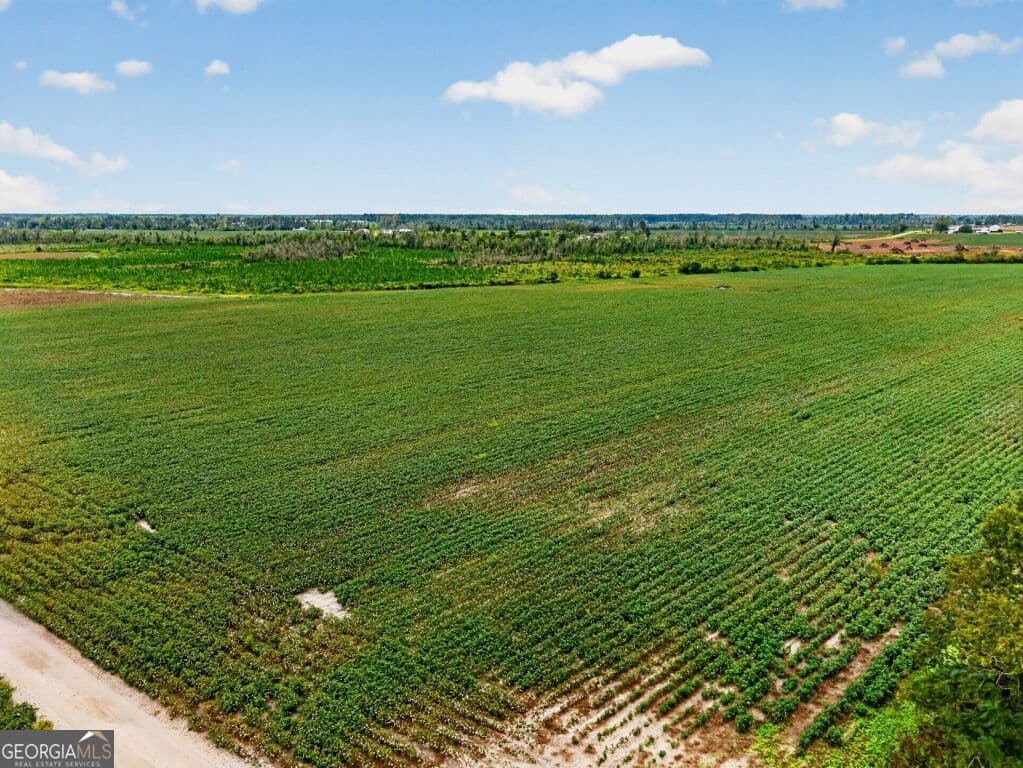 agriculture for sale at 0 Cedar Lane, Nicholls, GA 31554 — photo 6