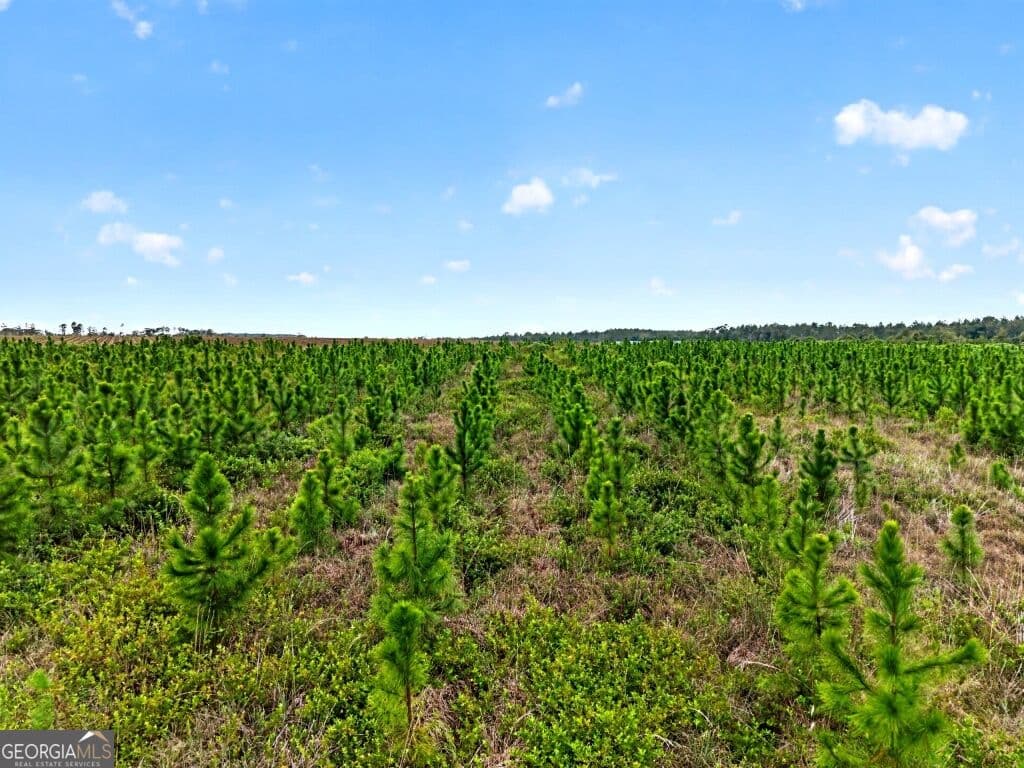 agriculture for sale at 0 Cedar Lane, Nicholls, GA 31554 — photo 7