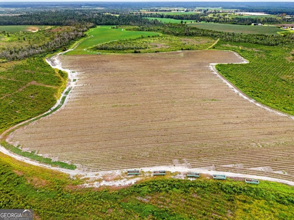 agriculture for sale at 0 Cedar Lane, Nicholls, GA 31554 — photo 3