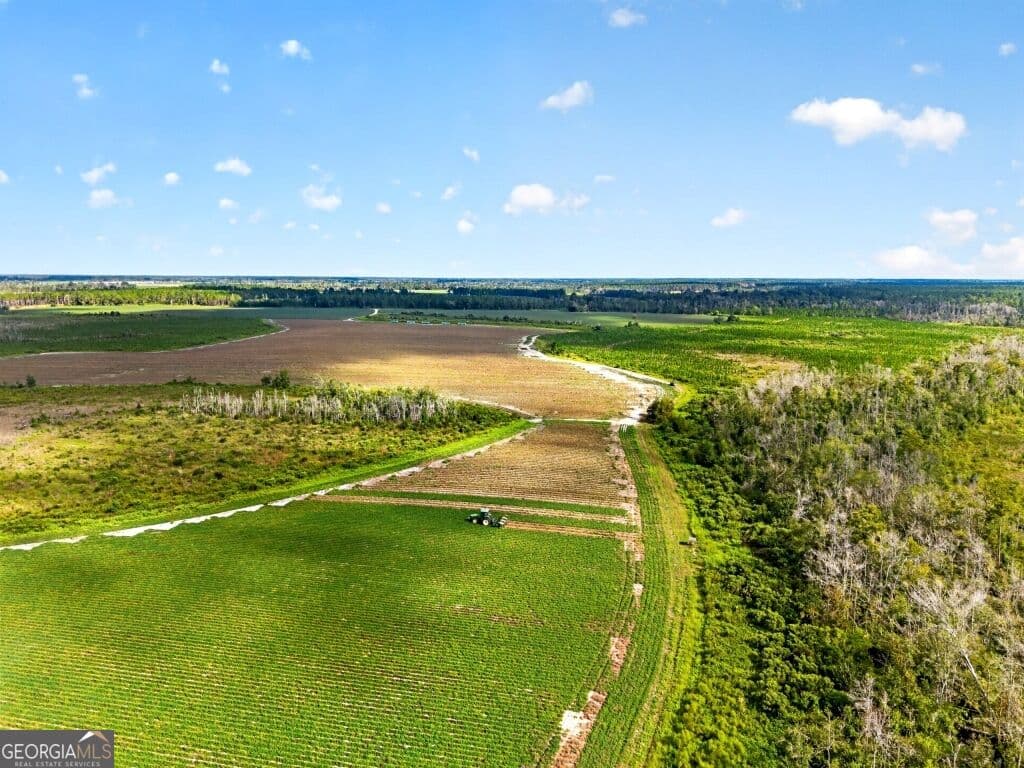 agriculture for sale at 0 Cedar Lane, Nicholls, GA 31554 — photo 1 of 29