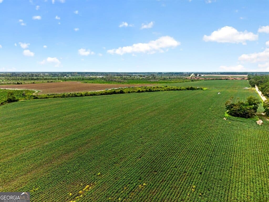 agriculture for sale at 0 Cedar Lane, Nicholls, GA 31554 — photo 5