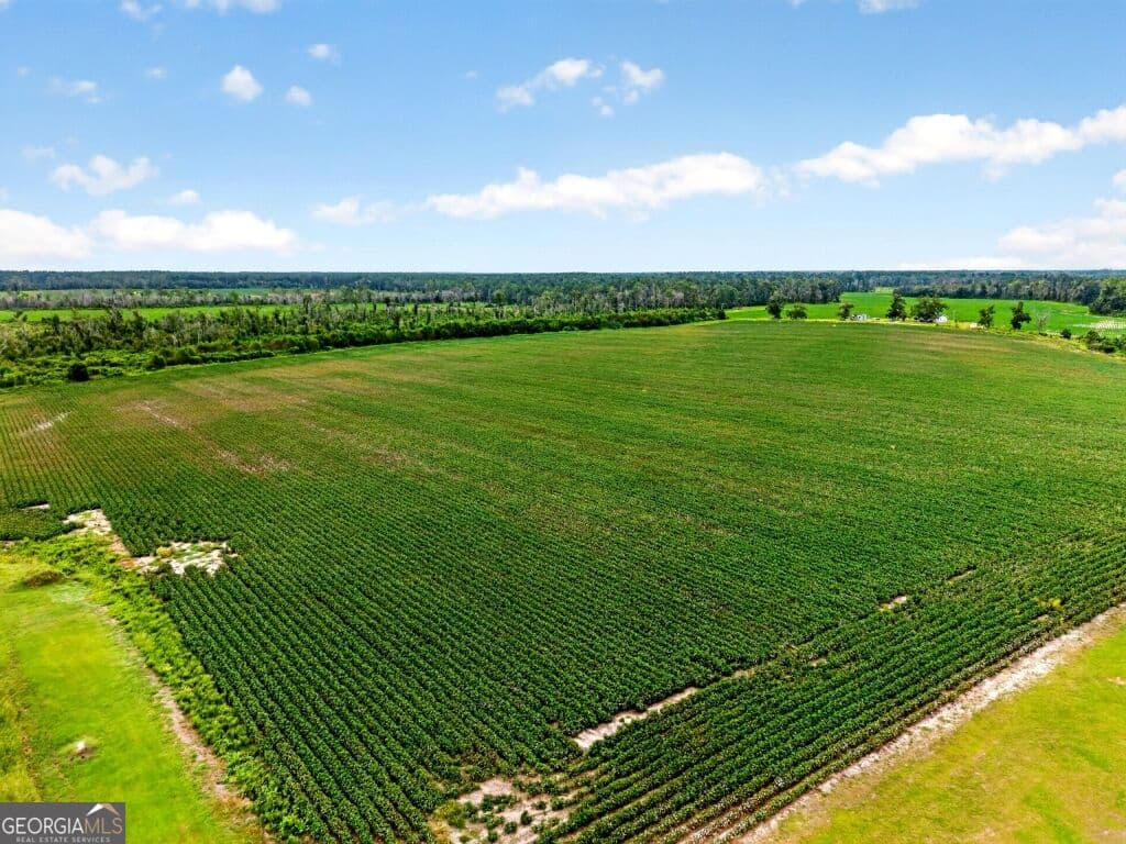 agriculture for sale at 0 Cedar Lane, Nicholls, GA 31554 — photo 10