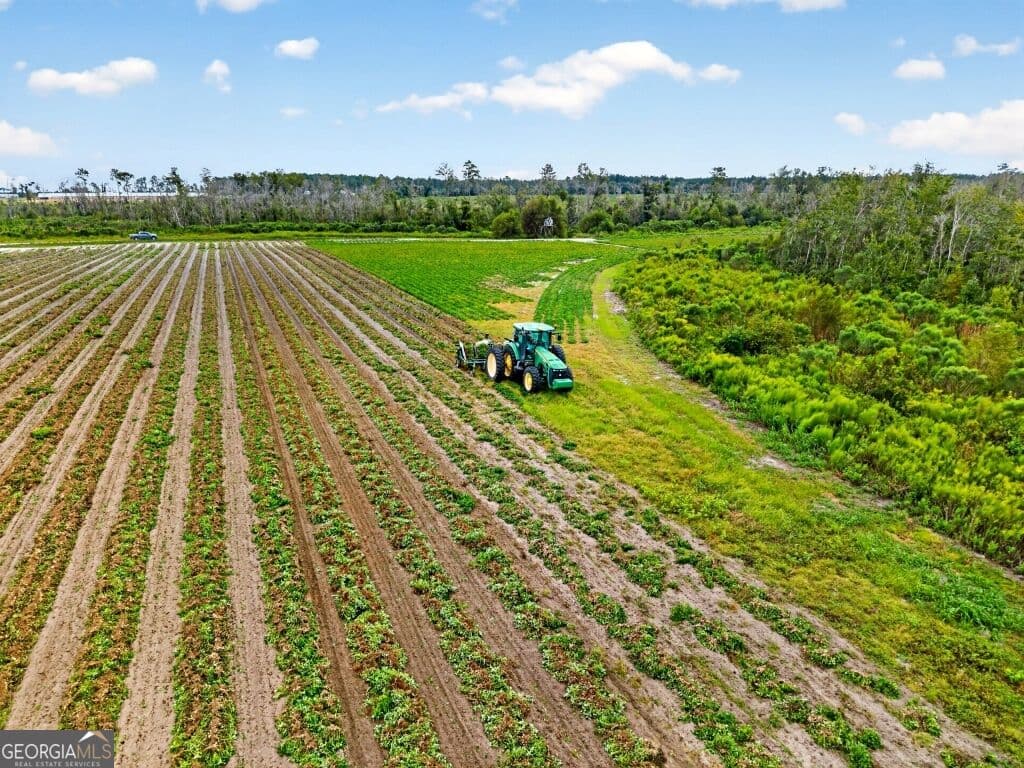 agriculture for sale at 0 Cedar Lane, Nicholls, GA 31554 — photo 4