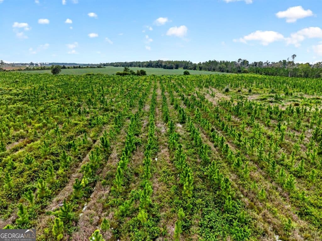 agriculture for sale at 0 Cedar Lane, Nicholls, GA 31554 — photo 8