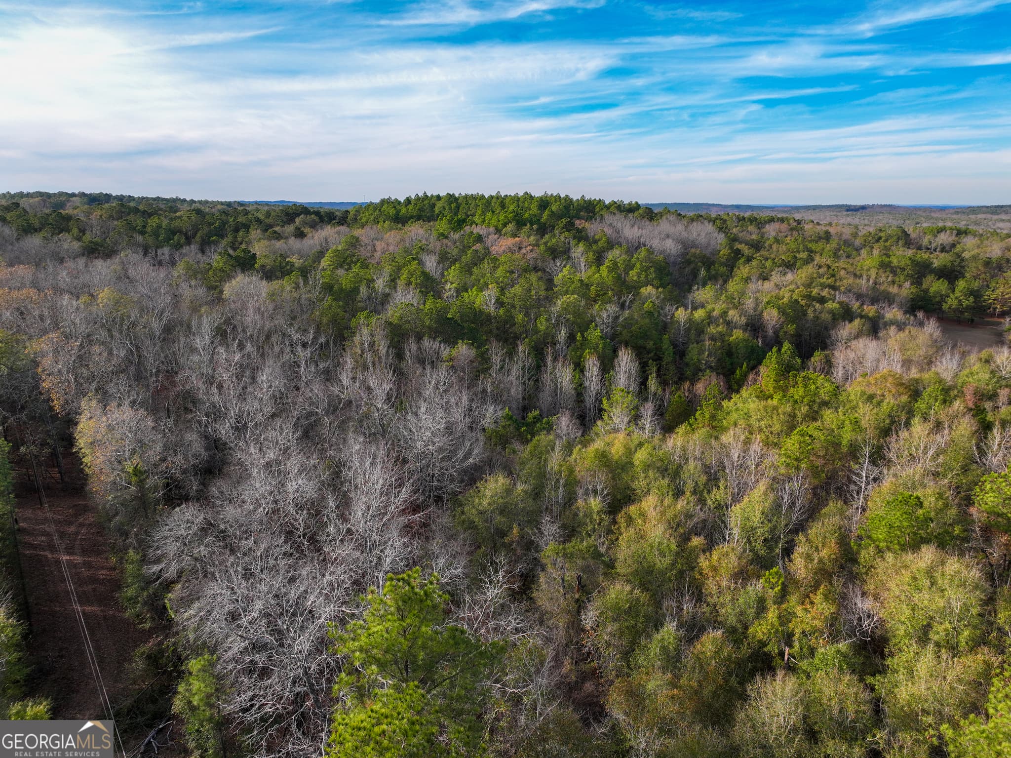 agriculture under contract at 0 Roberta Highway, Butler, GA 31006 — photo 6