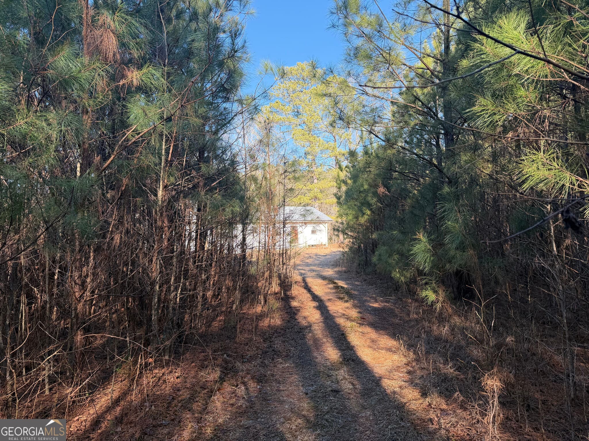 unimproved land for sale at 0 Hawk Road, Newnan, GA 30263 — photo 6