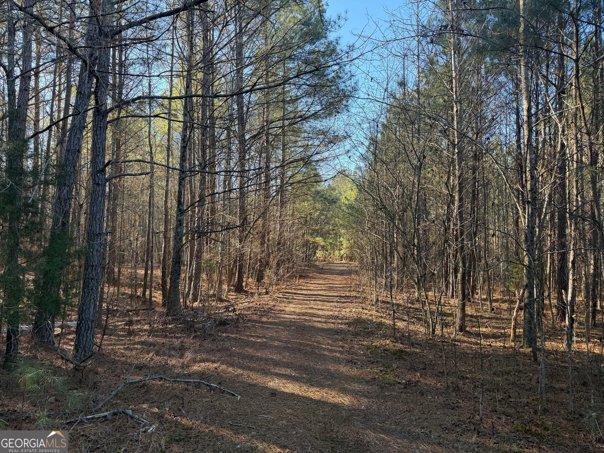 unimproved land for sale at 0 Hawk Road, Newnan, GA 30263 — photo 7