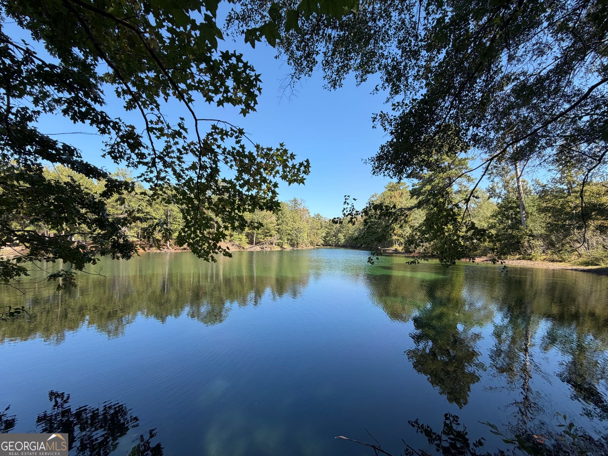 unimproved land for sale at 0 Hawk Road, Newnan, GA 30263 — photo 3