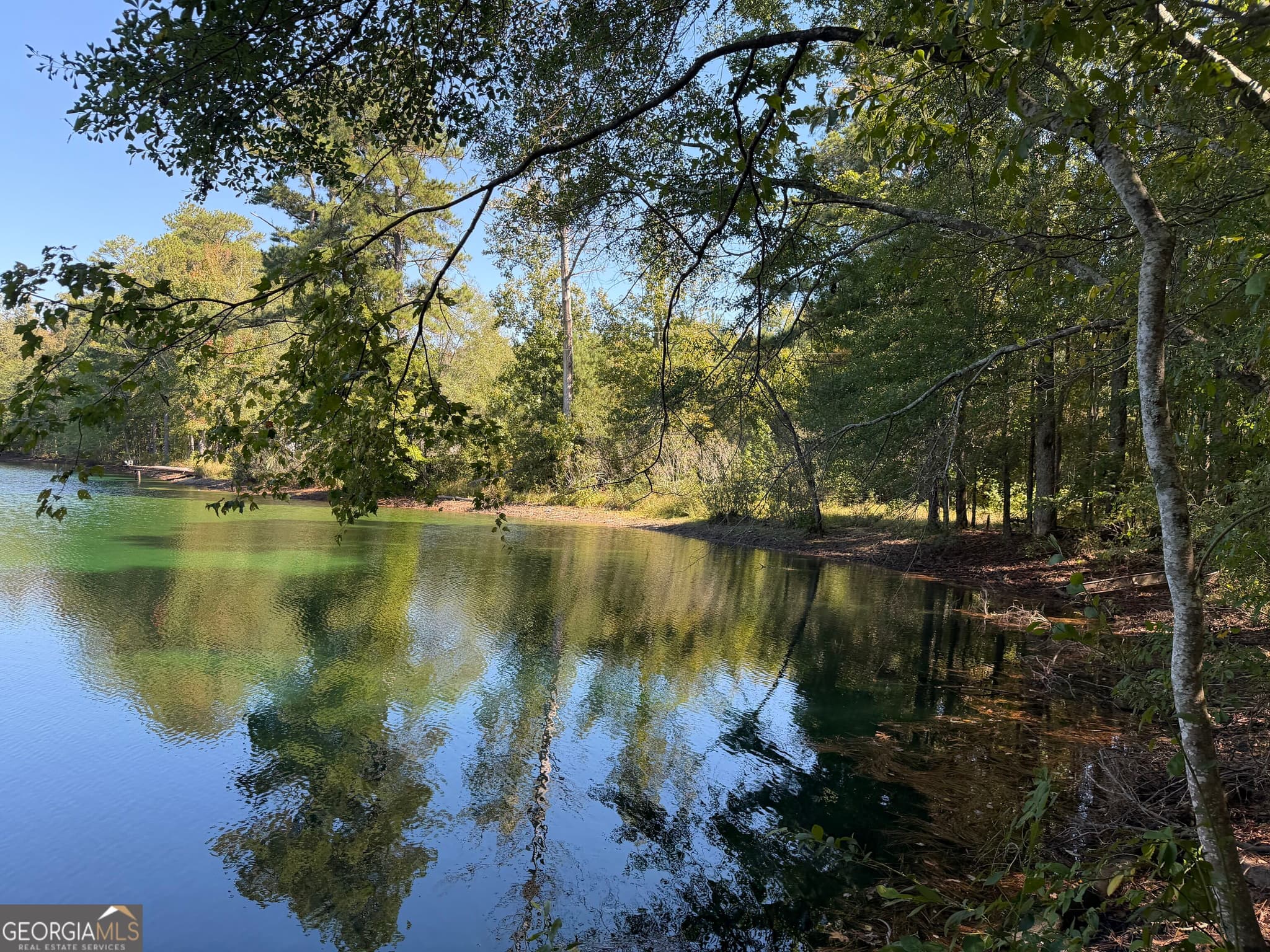 unimproved land for sale at 0 Hawk Road, Newnan, GA 30263 — photo 5