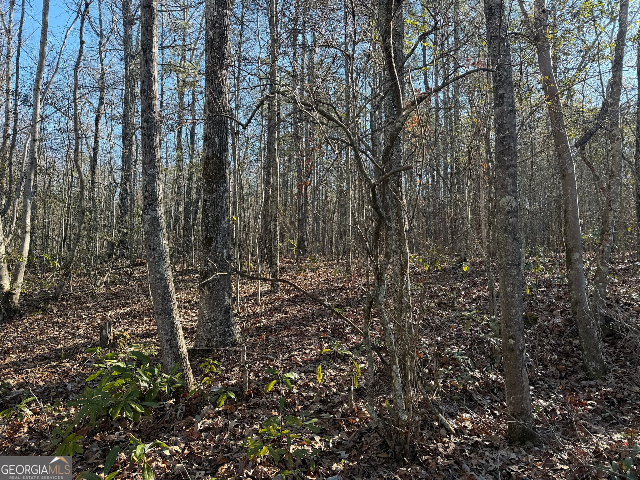 unimproved land for sale at 0 Hawk Road, Newnan, GA 30263 — photo 9